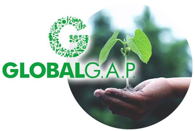 ESCO FRESH IBÉRICA S.L.