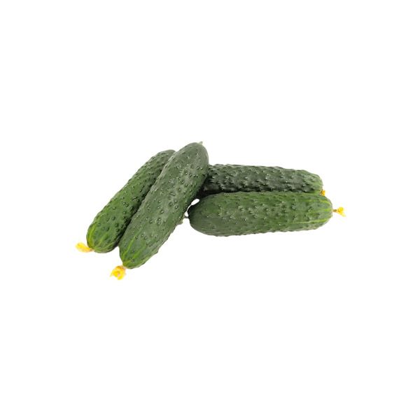 PEPINO