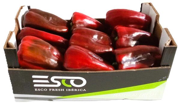 PIMIENTO LAMUYO ROJO