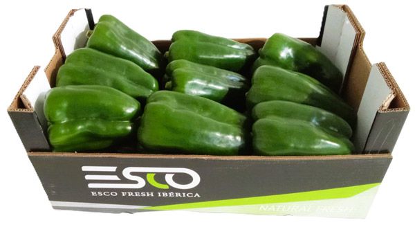 PIMIENTO LAMUYO VERDE