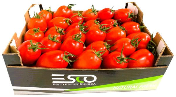 TOMATE PERA